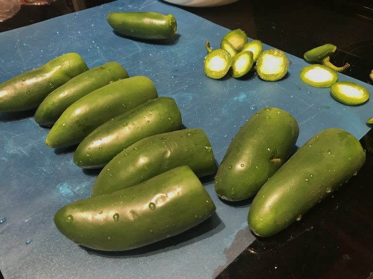 Venison Backstrap Jalapeño Poppers The Katherine Chronicles